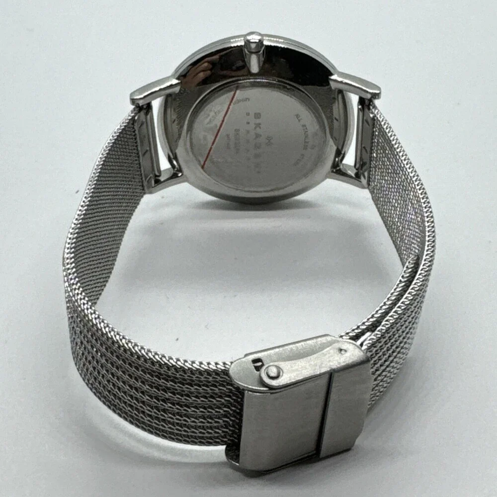 Skagen Denmark SKW2284 Women's Silver Stainless Steel Mesh Analog Watch AEA283